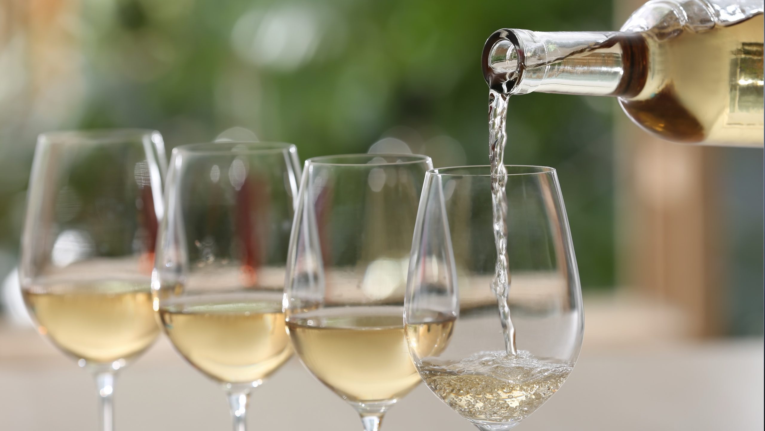 White wine being poured into a row of wine glasses